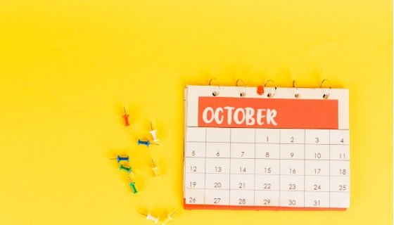 Plan Your Year: Wall Planner for Efficient Scheduling